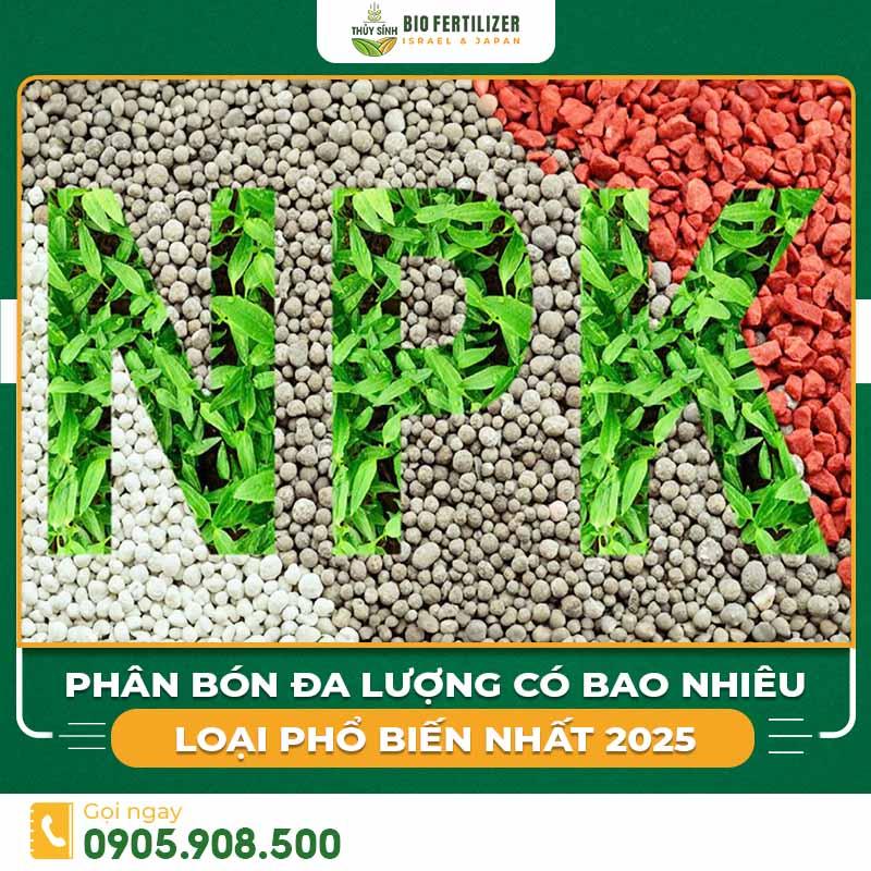 Vai trò của phân bón giúp cây xanh tươi tốt phát triển khỏe mạnh